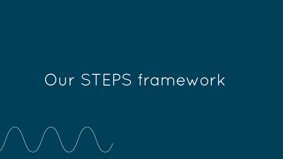 Our STEPS framework